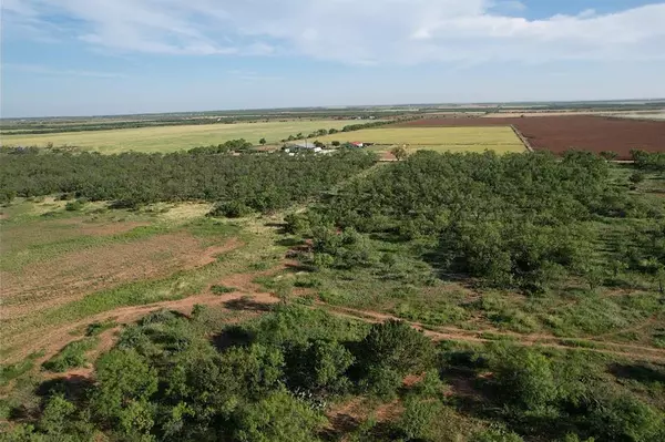 Merkel, TX 79536,TBD CR 453