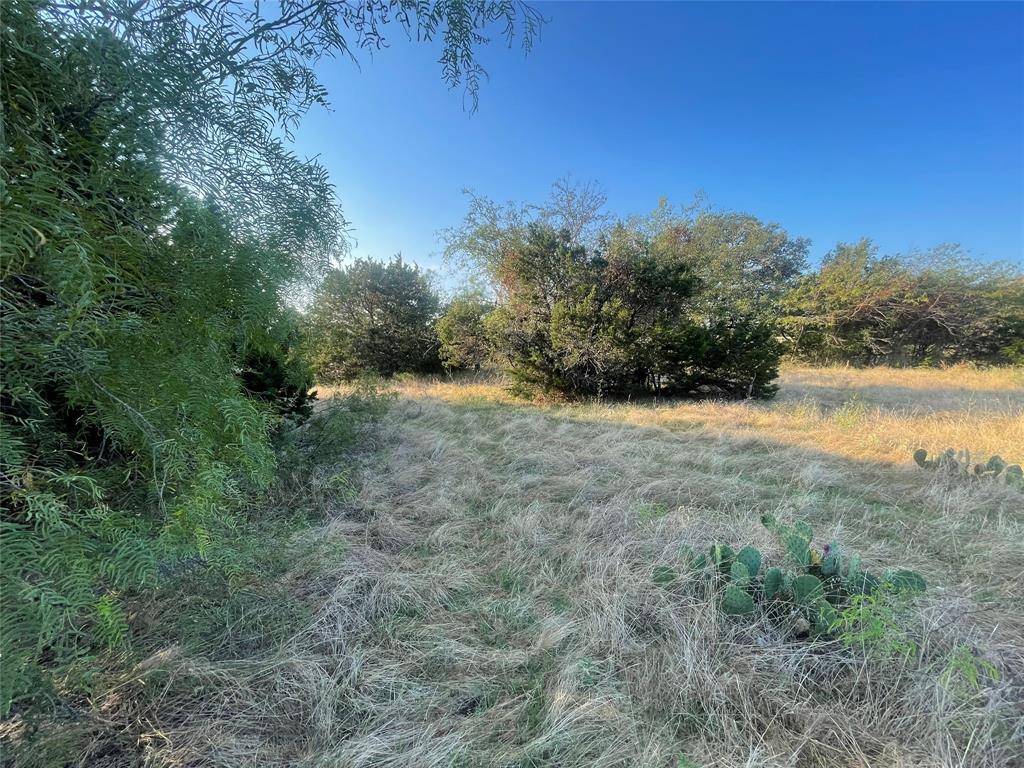 Whitney, TX 76692,35044 Oak Wood Drive
