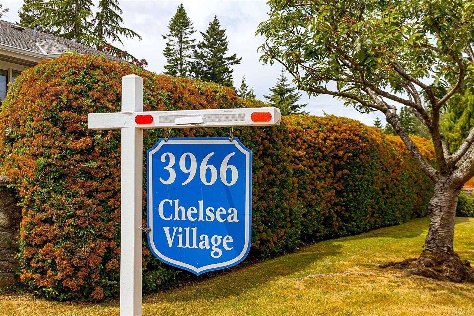 3966 Cedar Hill Cross Rd #8, Saanich, BC V8P 5R4