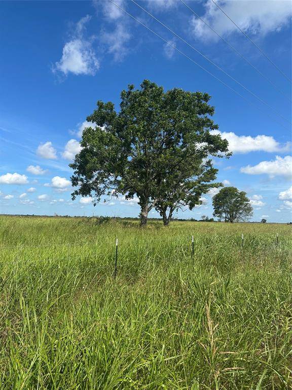 Honey Grove, TX 75446,1490 County Road 3430