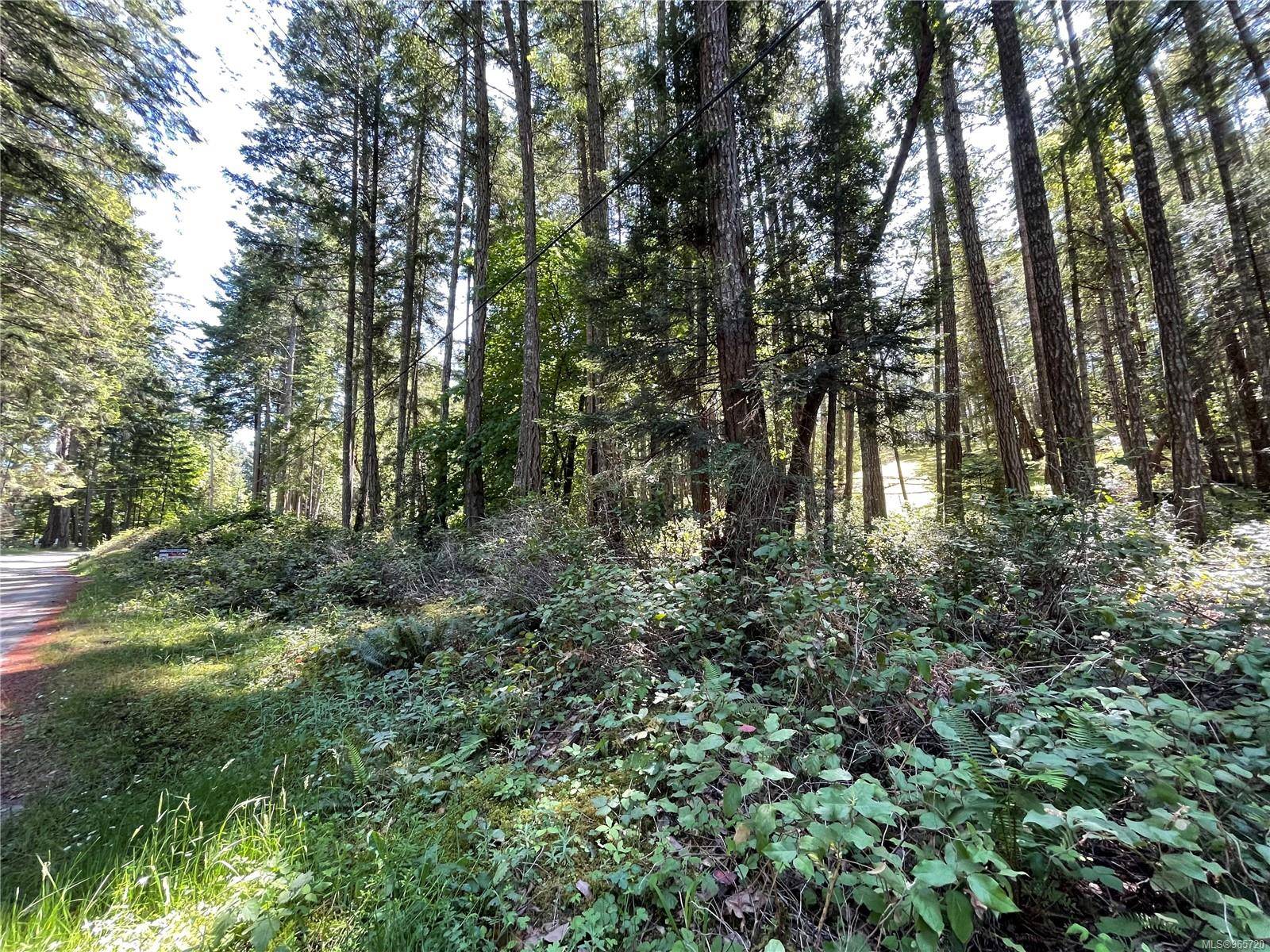 Mudge Island, BC V0R 1X0,Lot 2 Driftwood Dr