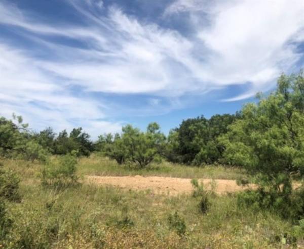 Brownwood, TX 76801,TBD LOT 640 Feather Bay Drive #1