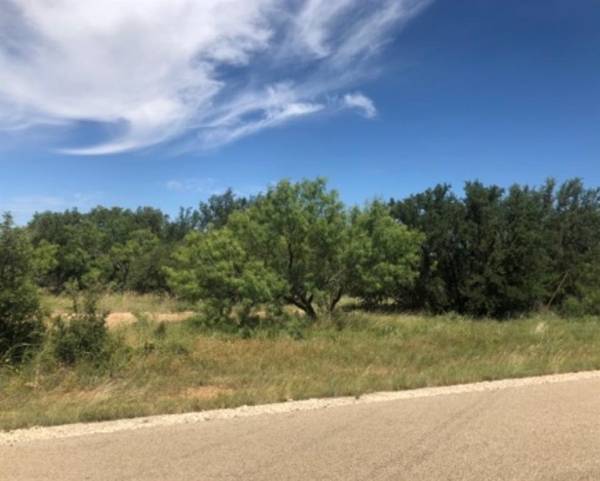 Brownwood, TX 76801,TBD LOT 640 Feather Bay Drive #1