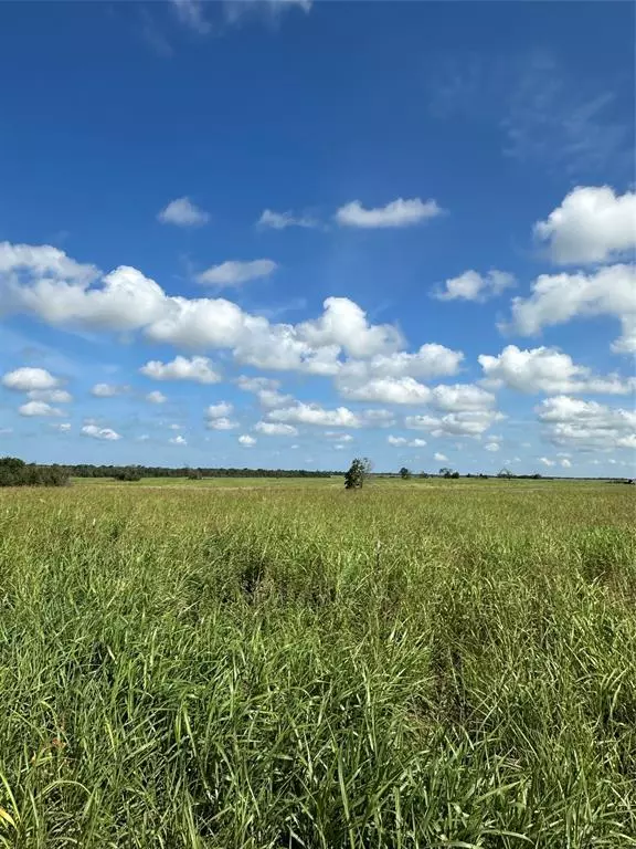Honey Grove, TX 75446,1490 County Road 3430