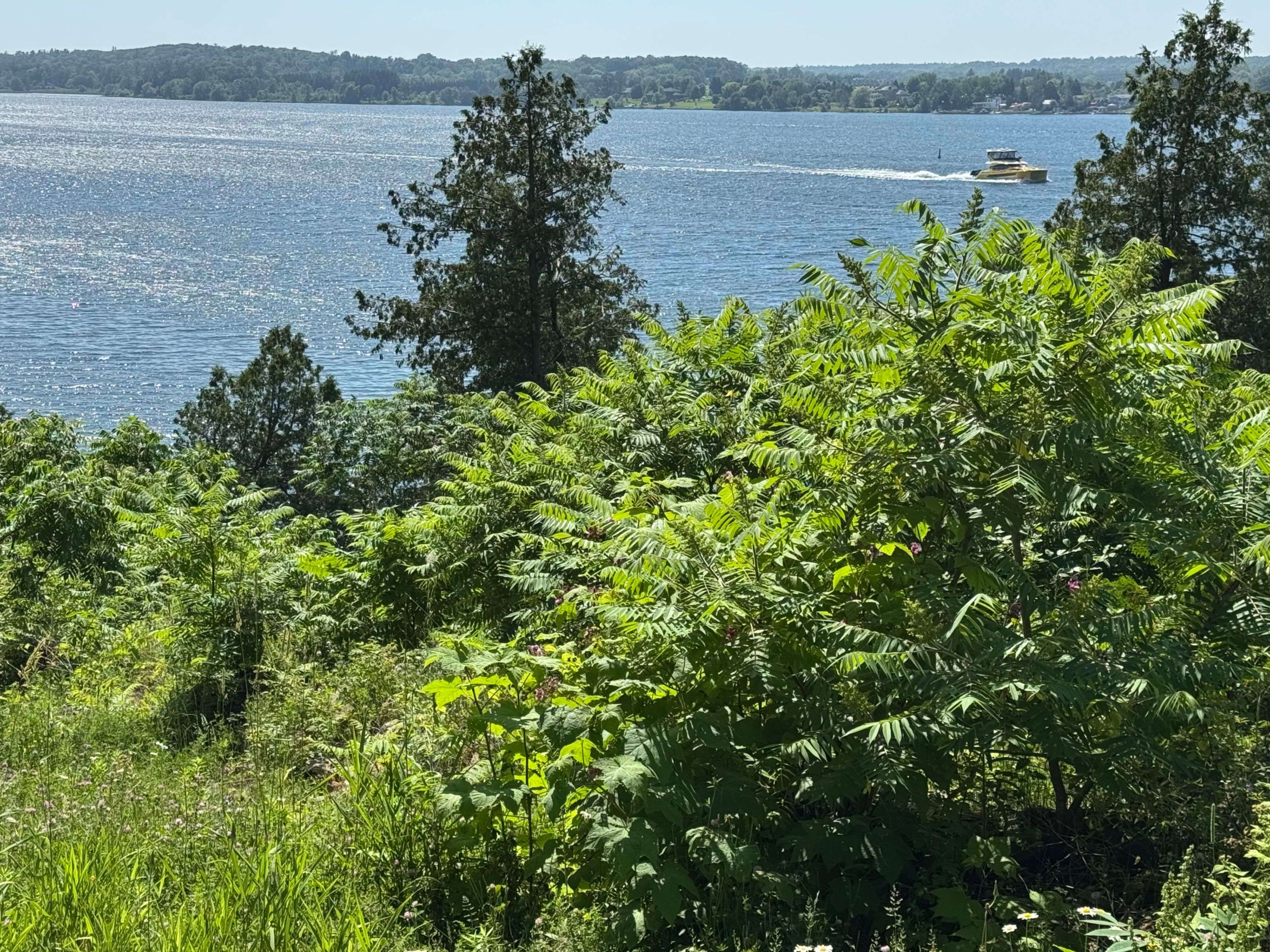 Frontenac Islands, ON K7G 2V6,643 North Shore RD