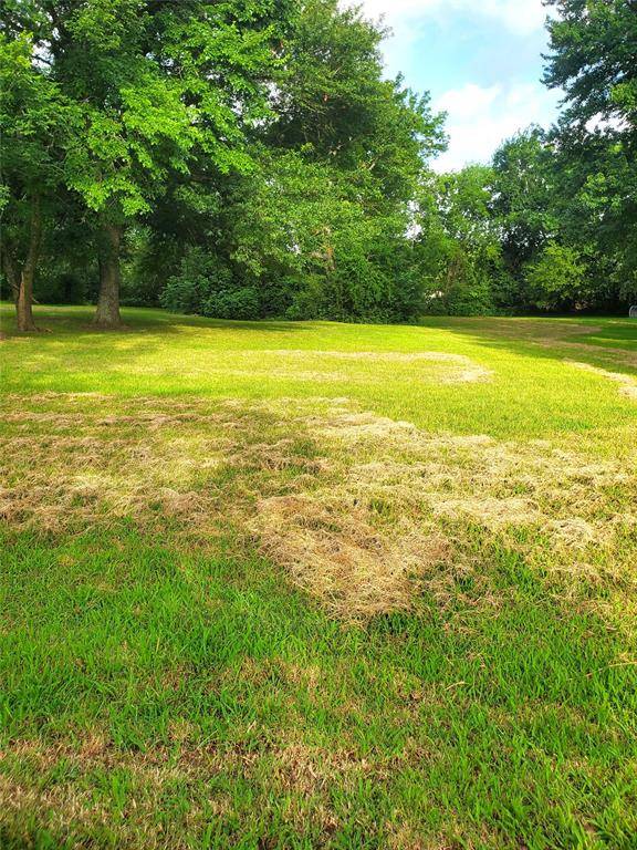 Mount Vernon, TX 75457,000 Dunlap Street