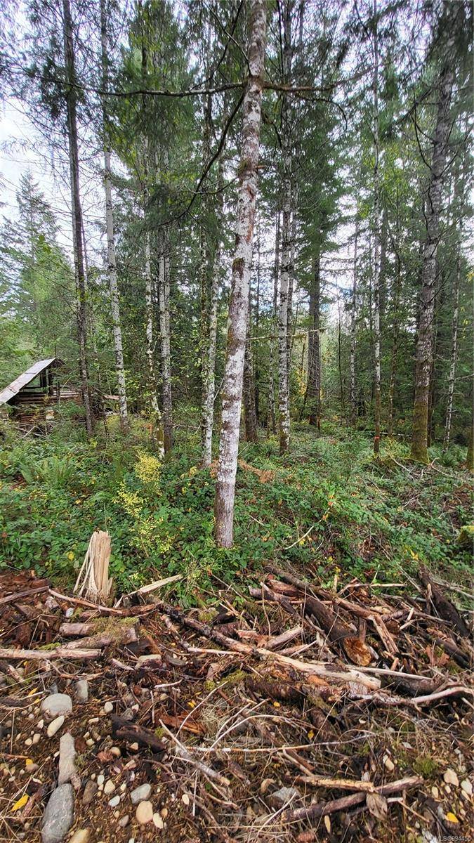 Duncan, BC V9L 6H3,Lot 3 Cowichan Lake Rd