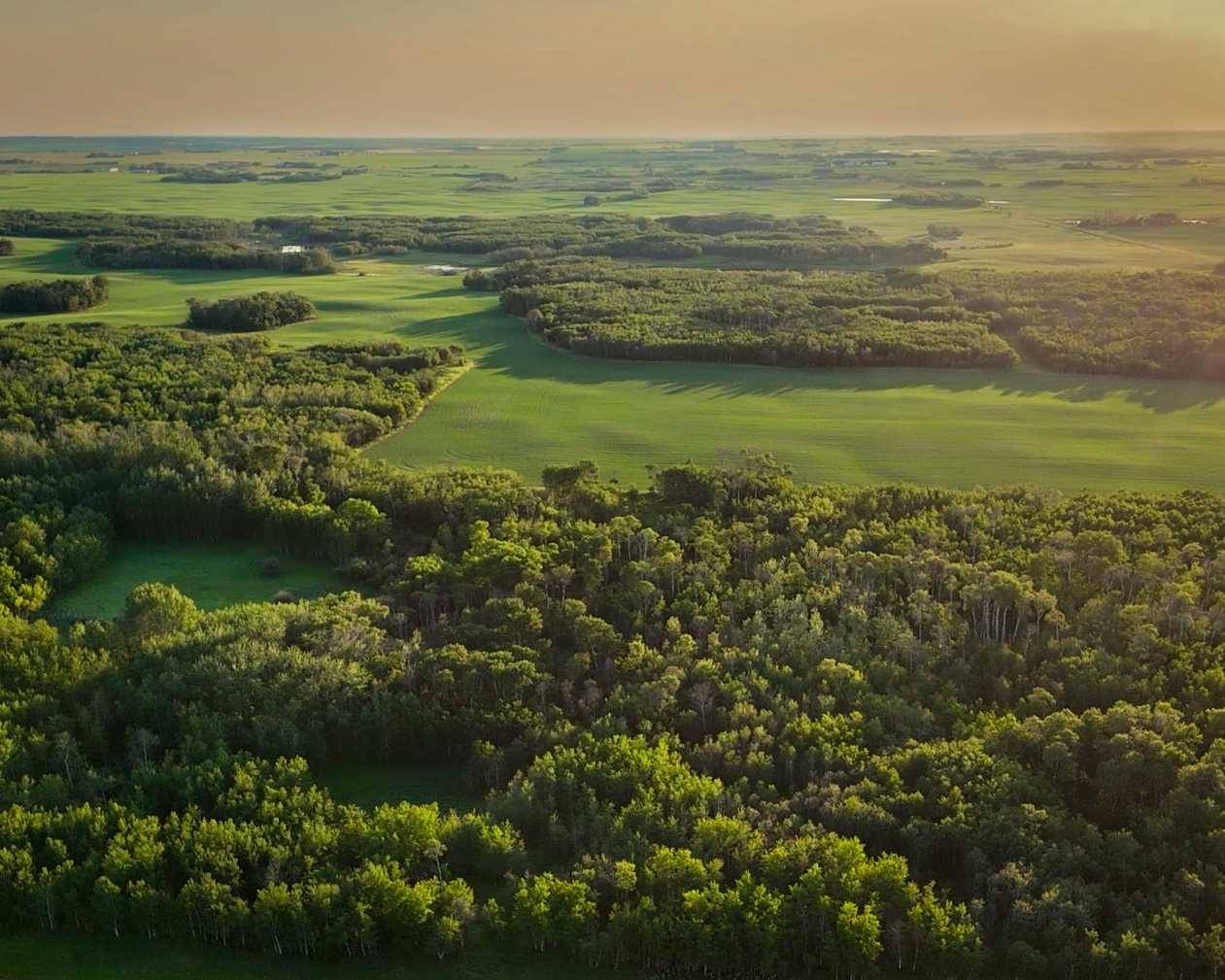 9-43-18-W4 & NW 4-43-18-W4, Rural Camrose County, AB T0B 1H0