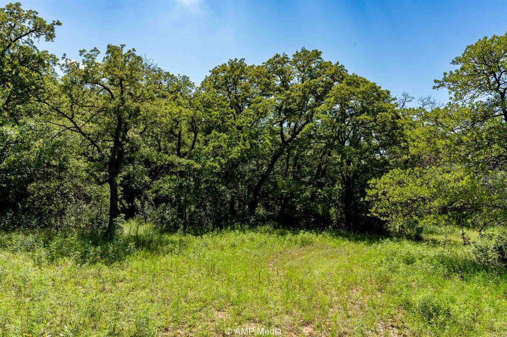 Nocona, TX 76255,3641 Carpenter Road