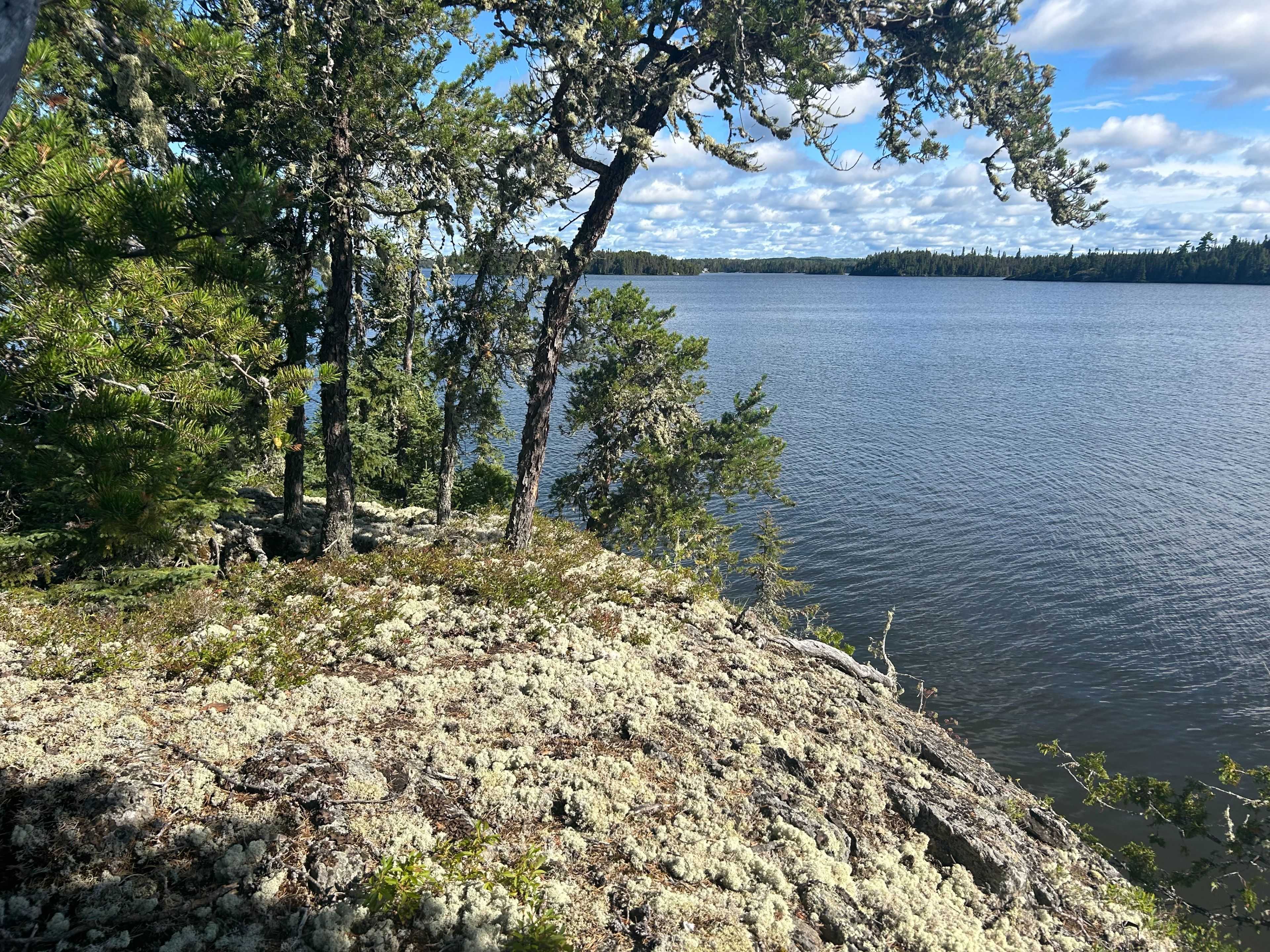 Kirkland Lake, ON P0K 1S0,Island Sesekinika Lake N/A