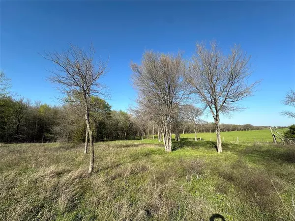 Lone Oak, TX 75453,1 Scenic Drive