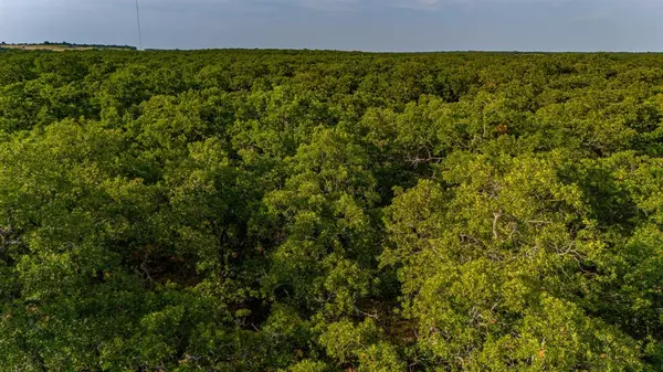 Perrin, TX 76486,TBD E. Hackley Street