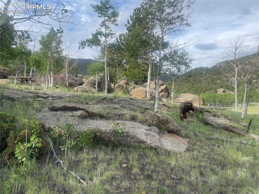 Lake George, CO 80827,170 Emerald WAY