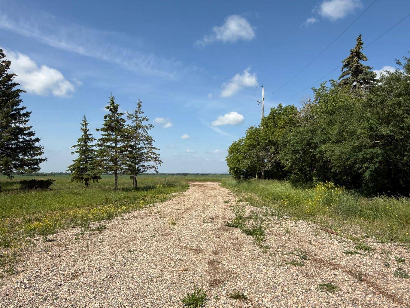 Rural Vermilion River County Of, AB T9X 1Y8,504047 Range Road 80