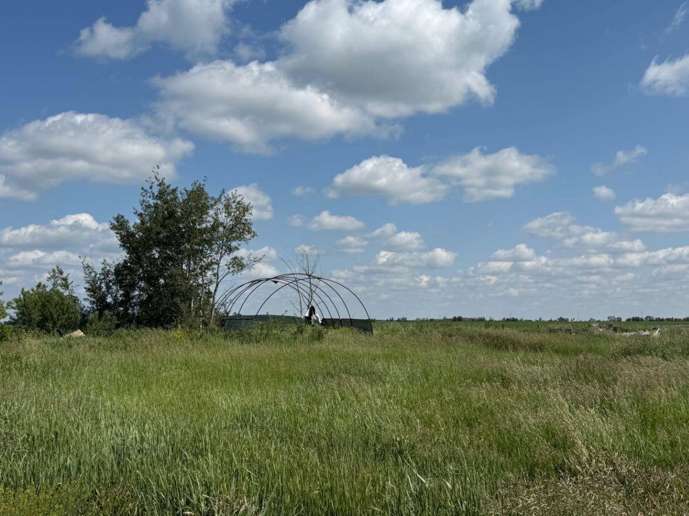 Rural Vermilion River County Of, AB T9X 1Y8,504047 Range Road 80