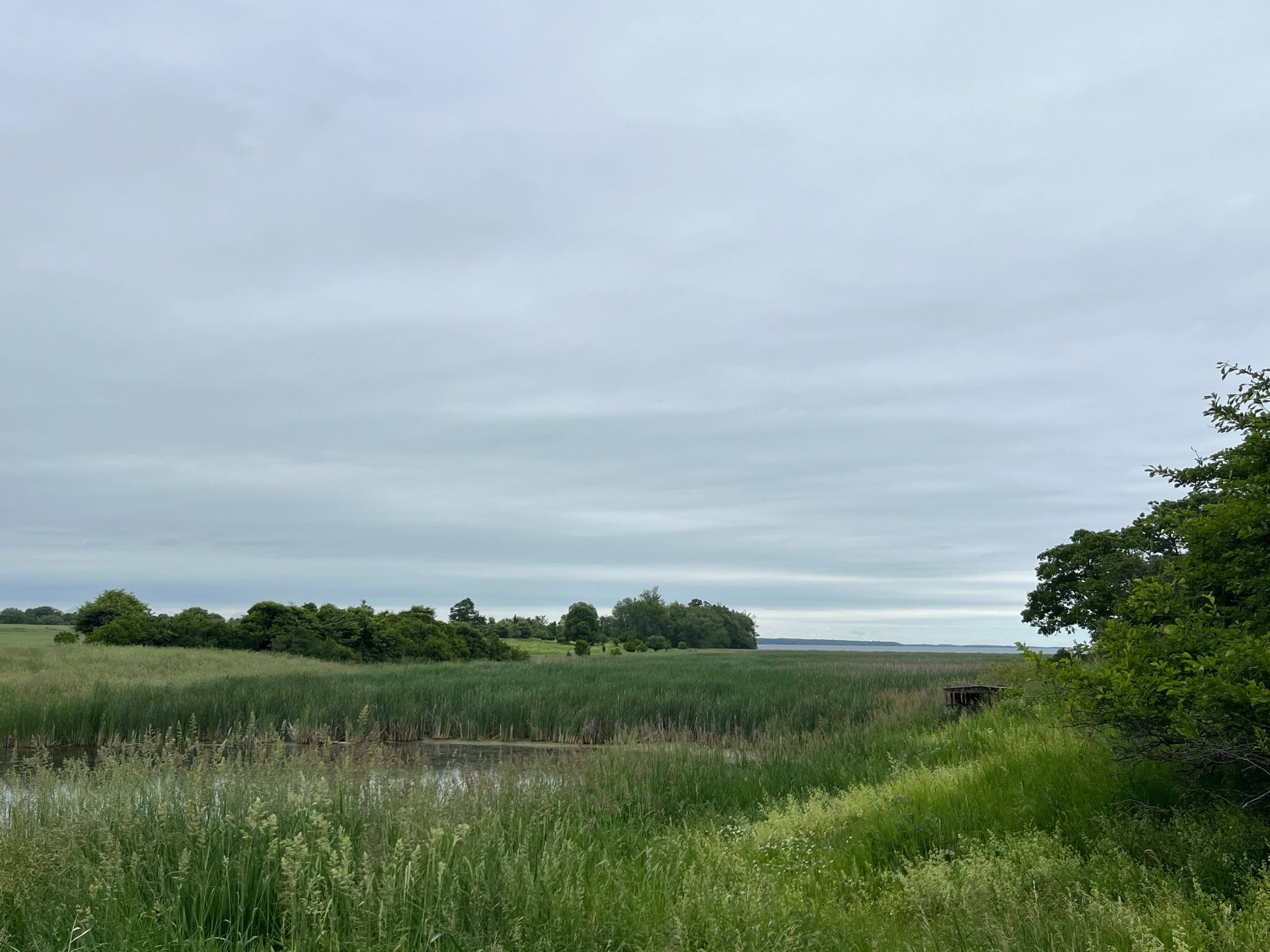 Frontenac Islands, ON K0H 2Y0,15 Irvine Bay LN