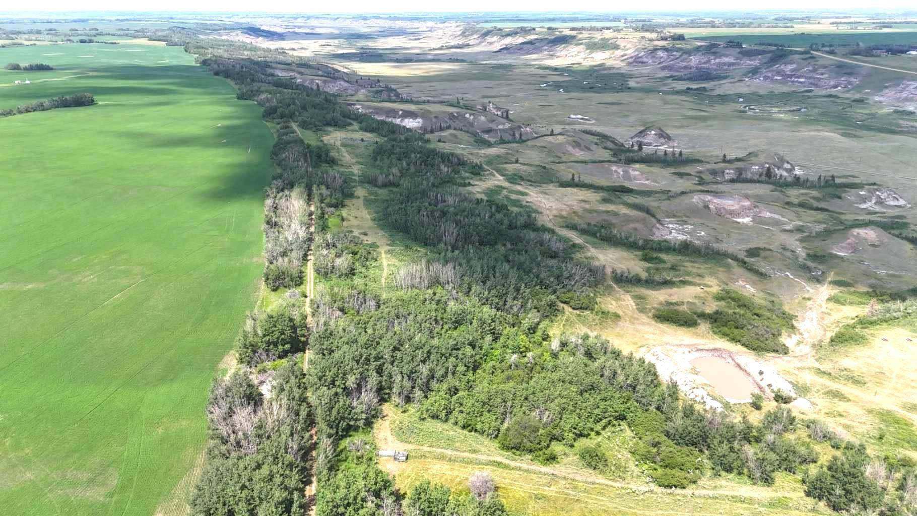 185 Range RD, Rural Stettler No. 6 County Of, AB T0C 2L0