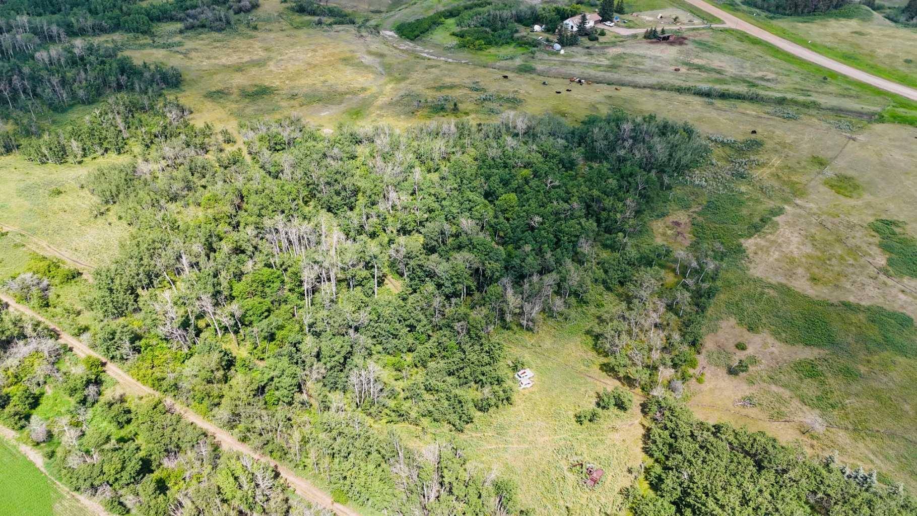 Rural Stettler No. 6 County Of, AB T0C 2L0,185 Range RD