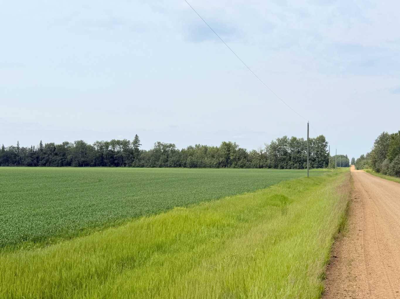 Rural Athabasca County, AB T9S 1L4,Lot 1 Township Road 663