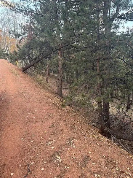 418 Valley RD, Divide, CO 80814