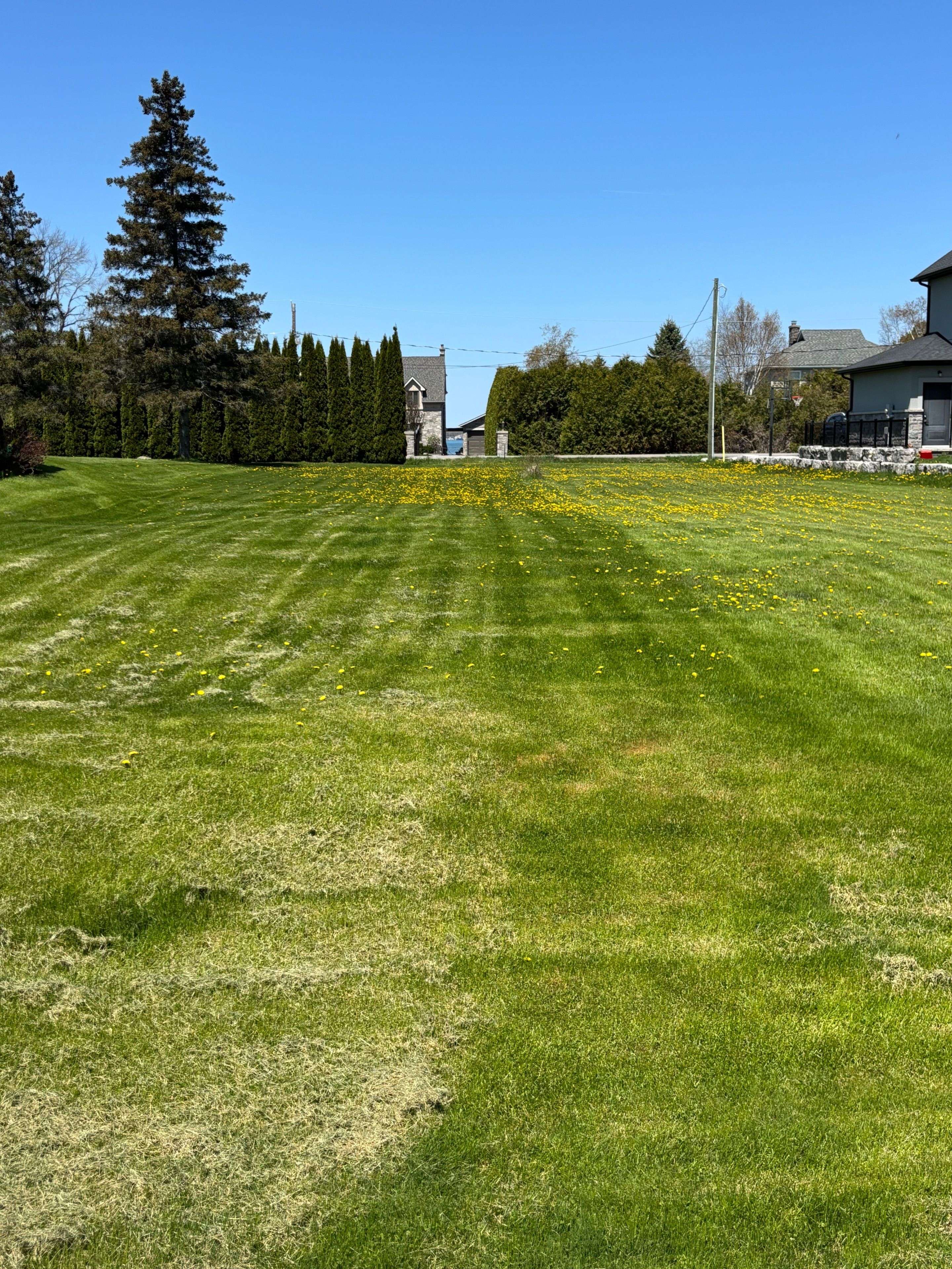 7657 Black River RD, Georgina, ON L0E 1R0