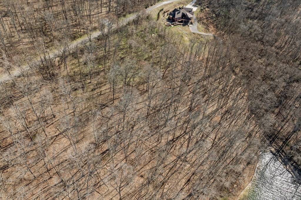 Smithville, TN 37166,0 Williamson Circle