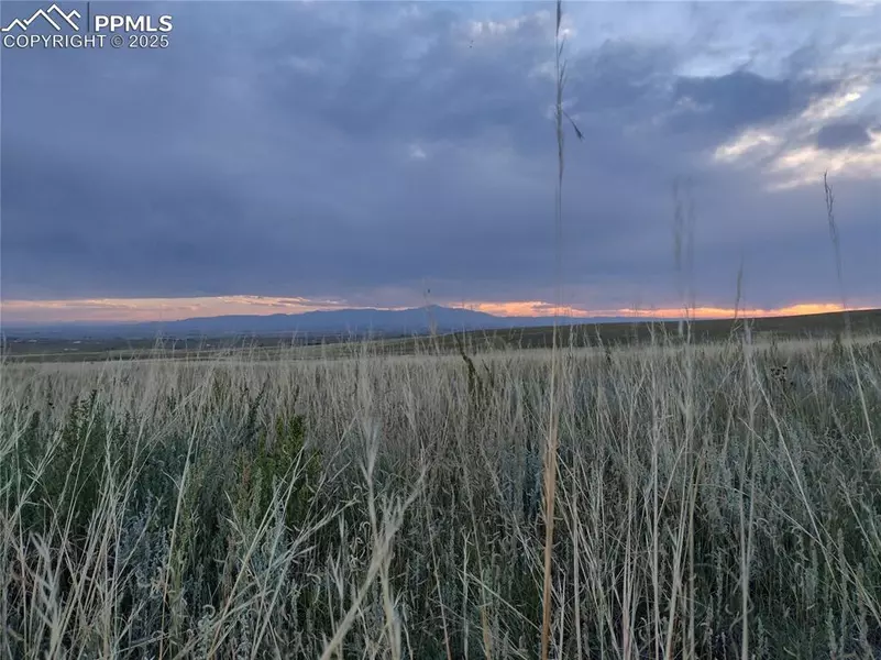 29535 Tallgrass VW, Calhan, CO 80808