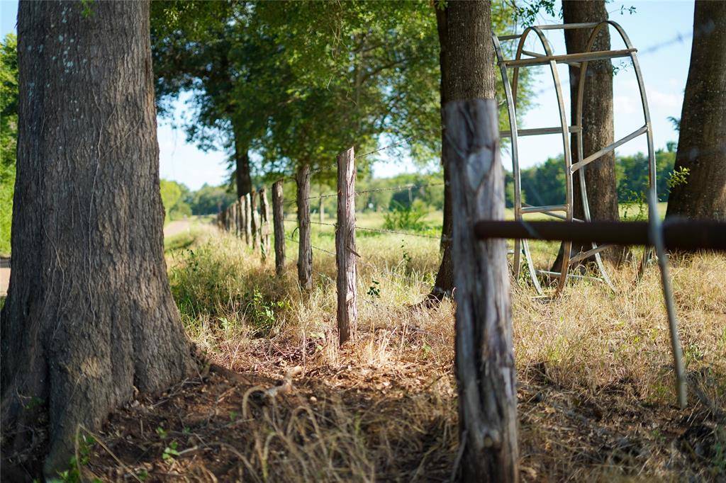 Caldwell, TX 77836,0000 County Road 379 Road