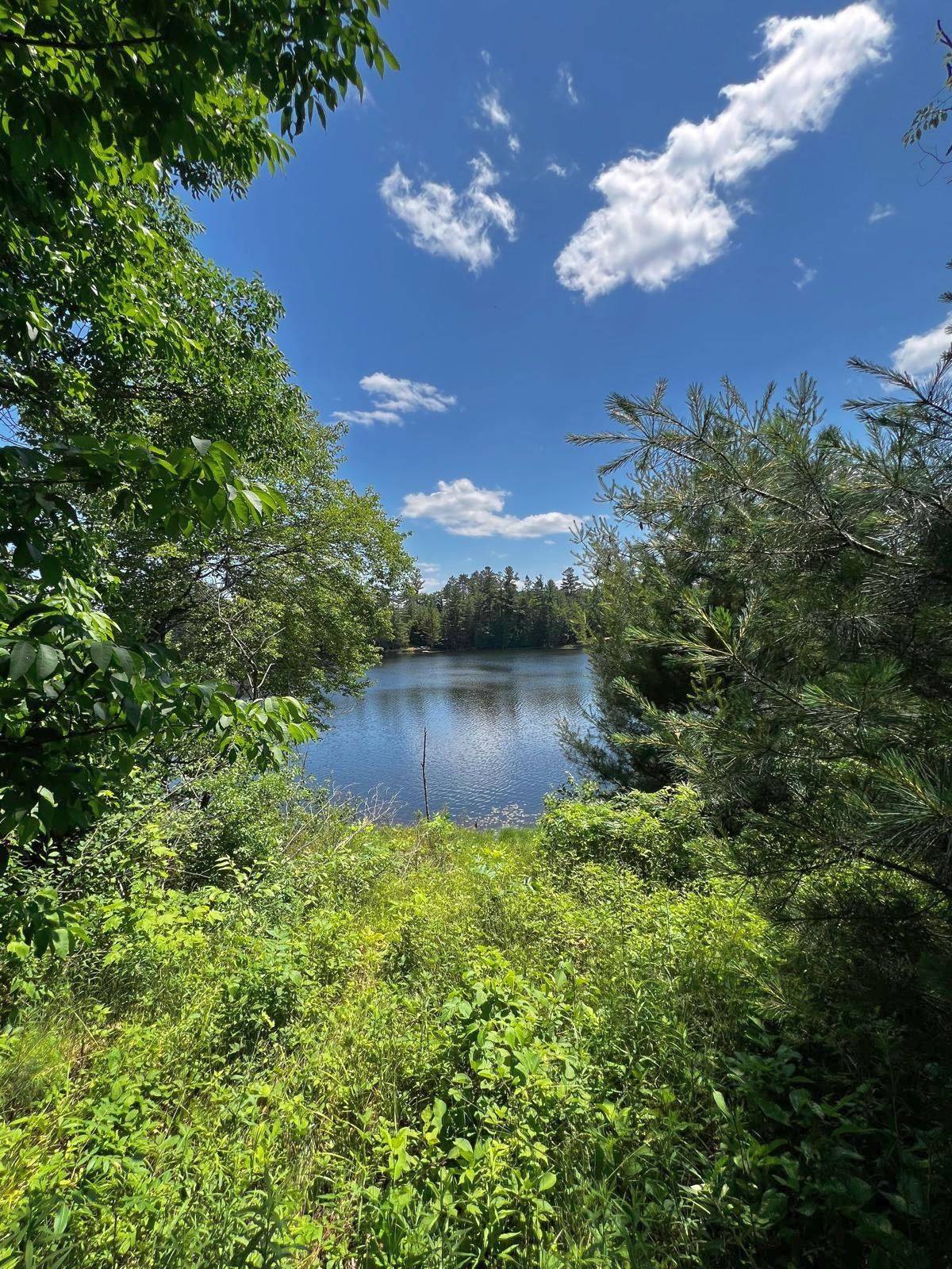 Addington Highlands, ON K0H 1K0,14276 Highway 41, Cloyne RD