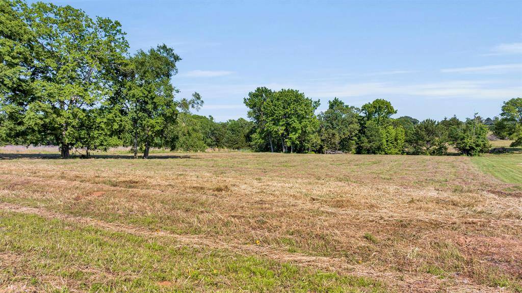 Winona, TX 75792,TBD Ridgeway Court #3