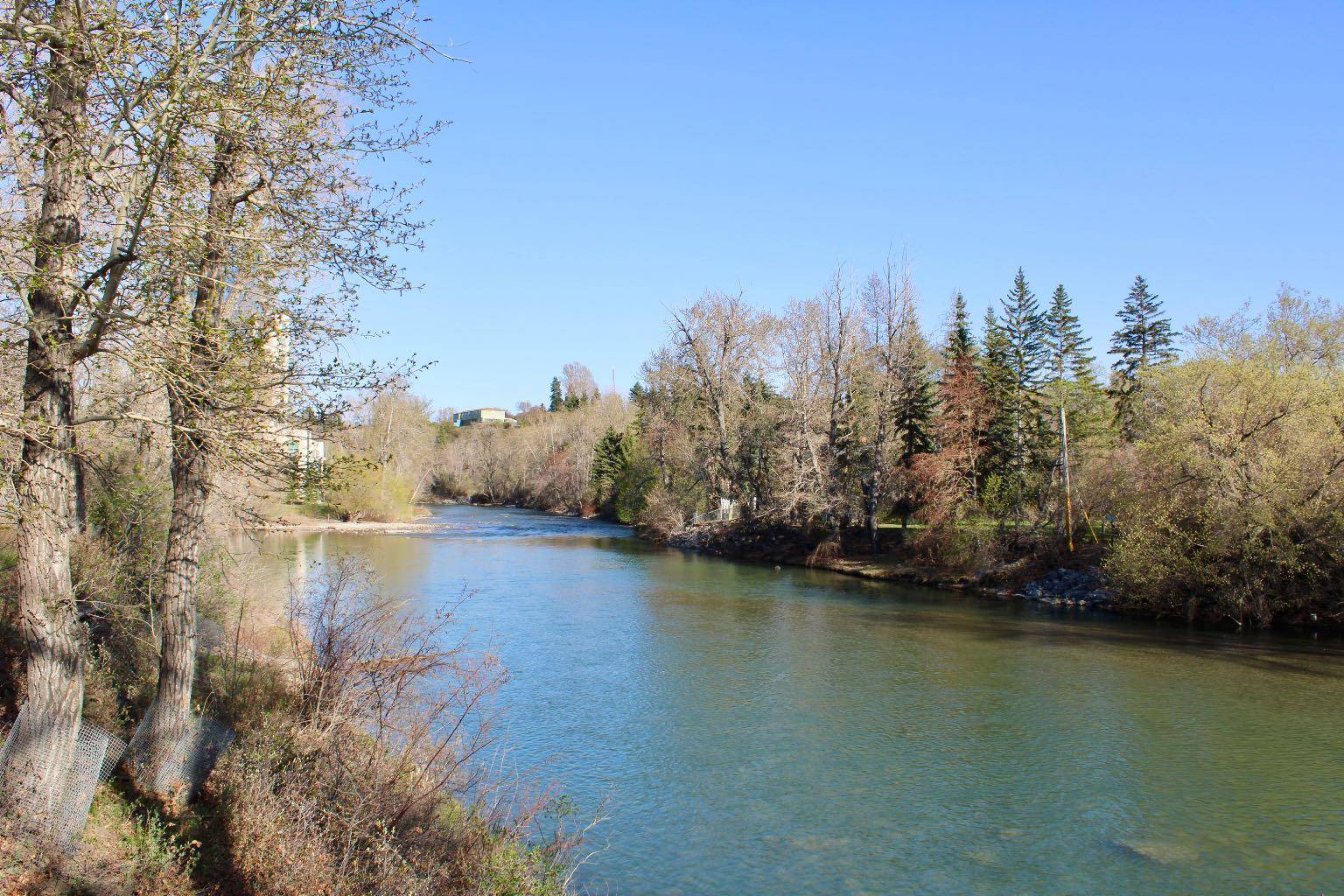 Calgary, AB T2S 1S9,2417 2 ST SW #14