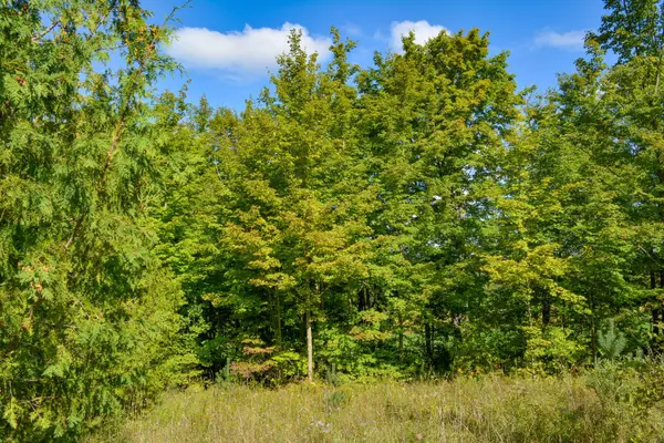 Chatsworth, ON N0H 1G0,396436 Concession 2 N/A