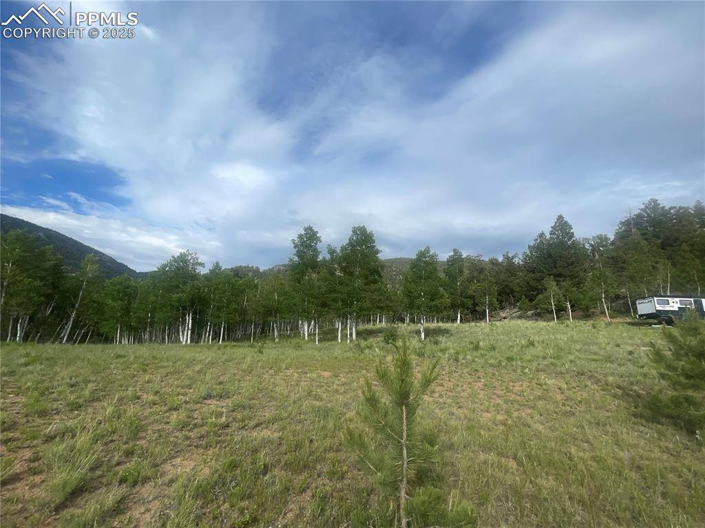 Lake George, CO 80827,171 Emerald WAY