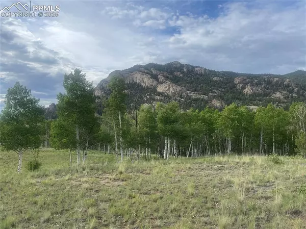 Lake George, CO 80827,171 Emerald WAY