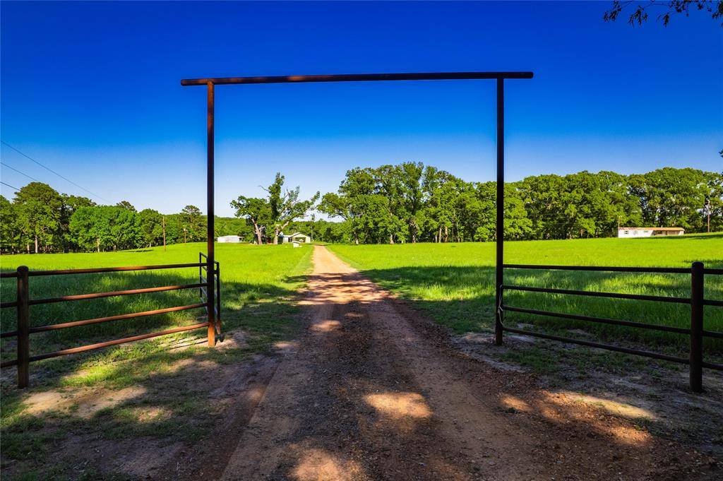 Athens, TX 75751,12401 County Road 1113
