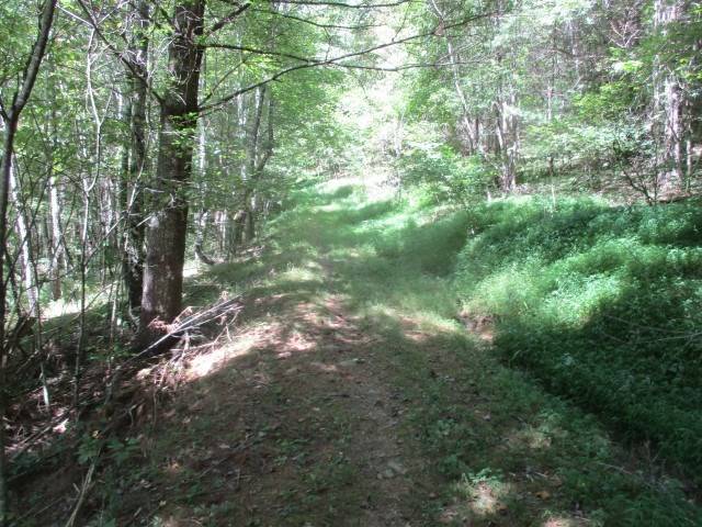 Elk Creek, VA 24326,TBD Big Ridge Road