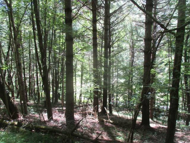 Elk Creek, VA 24326,TBD Big Ridge Road