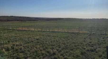 De Winton, AB T0L 0X0,48033 295 AVE East