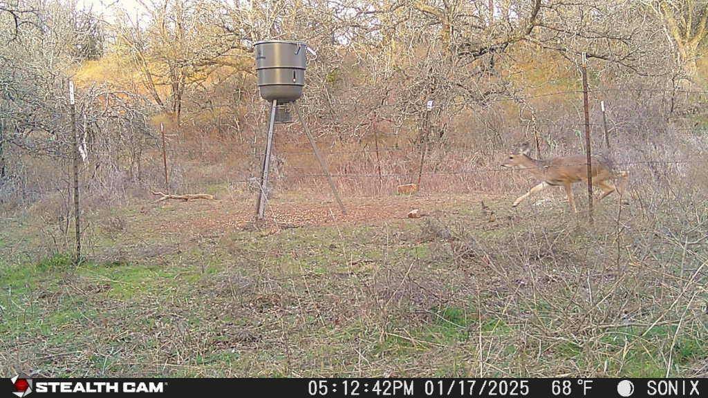 Jacksboro, TX 76458,TBD 15.125 Acres Slusher Road