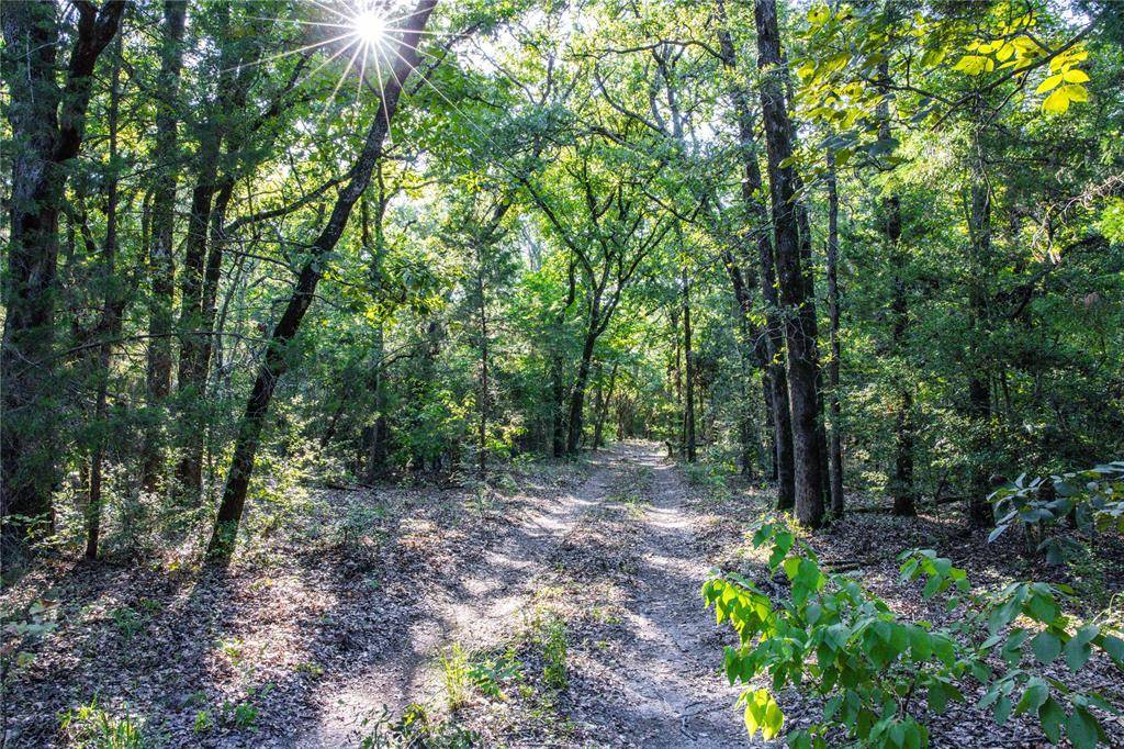 Athens, TX 75752,00 County Road 4705
