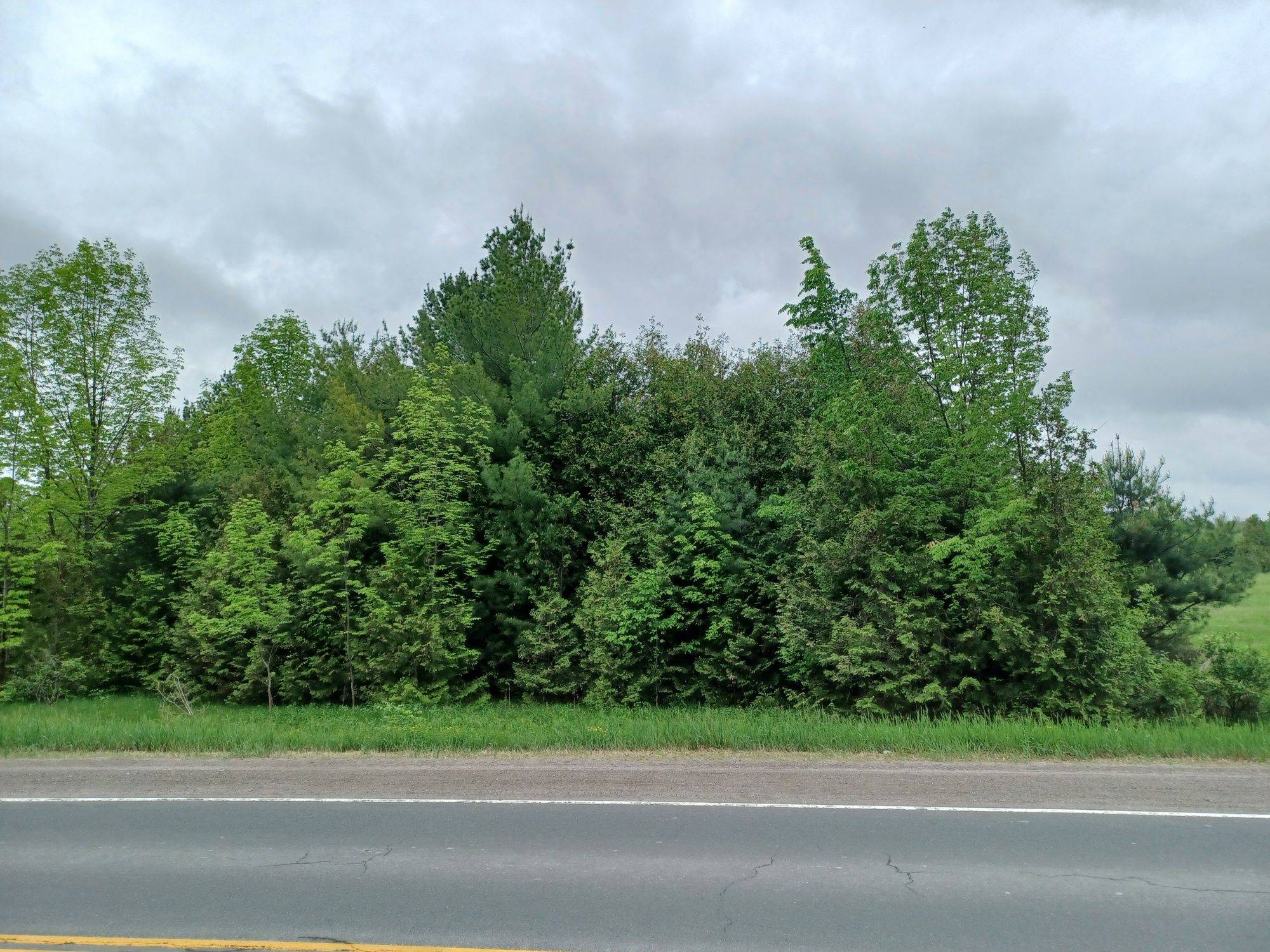 Douro-dummer, ON K0L 2H0,00 County Rd 6 N/A