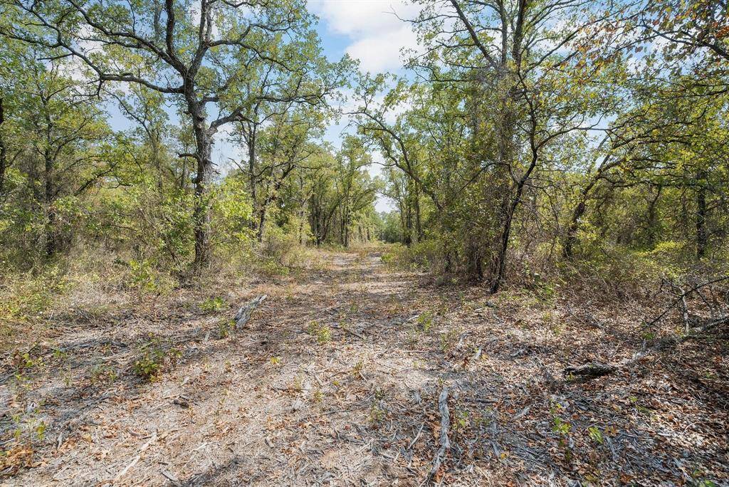 Perrin, TX 76486,Lot 3 wilson road Road S
