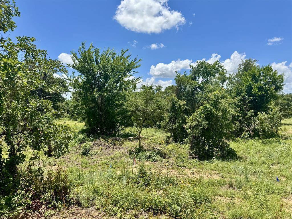 Cleburne, TX 76031,4017 County Road 310