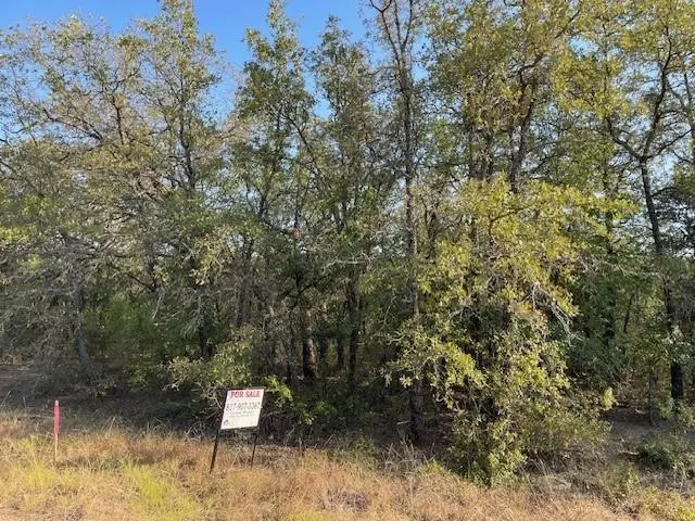 TBD Comewell Court, Runaway Bay, TX 76426