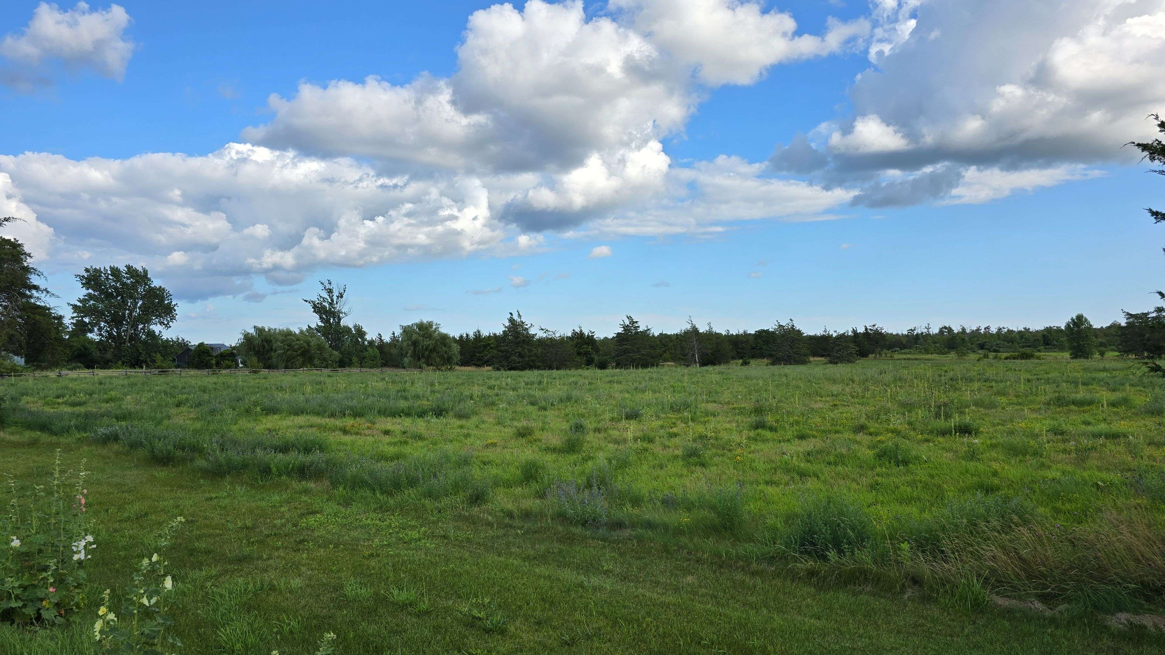Prince Edward County, ON K0K 2T0,1678 County Road 8 N/A