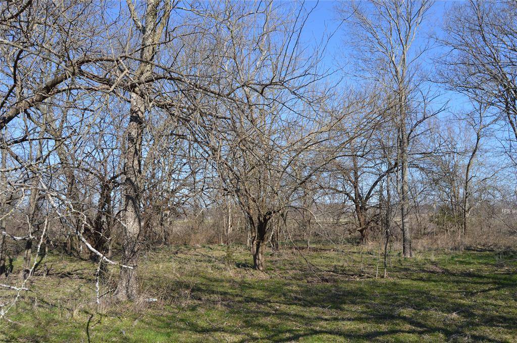 Campbell, TX 75422,1481 FM 513 S