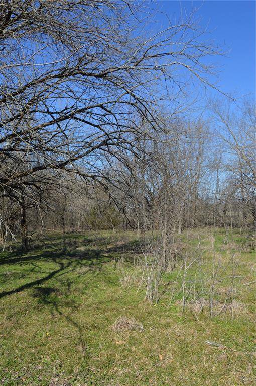 Campbell, TX 75422,1481 FM 513 S