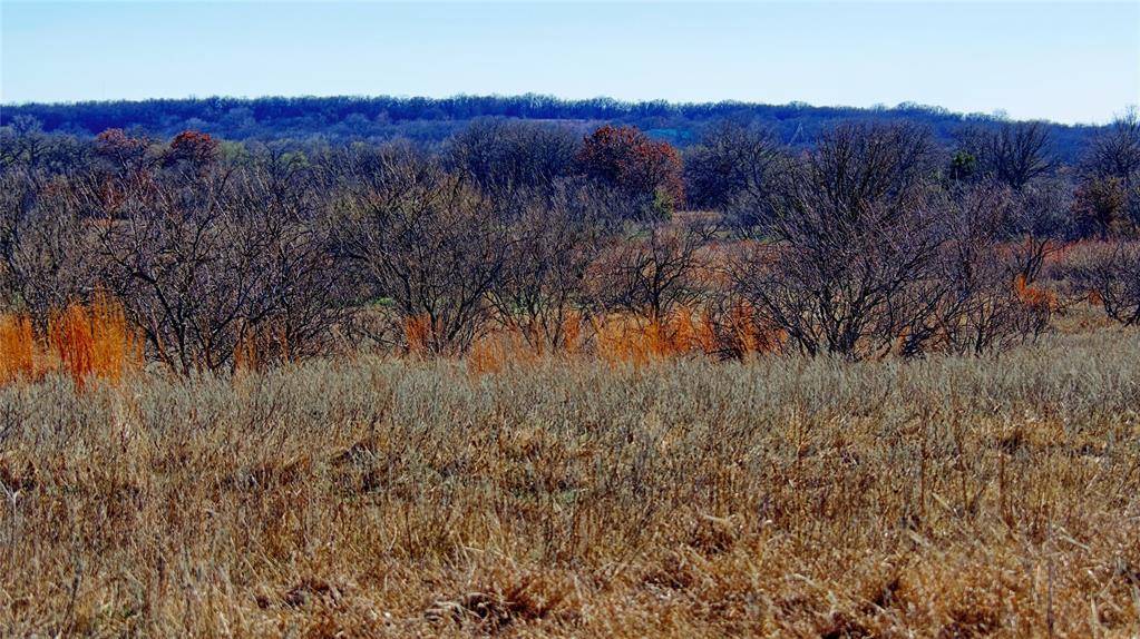 Nocona, TX 76255,0 W Us-82