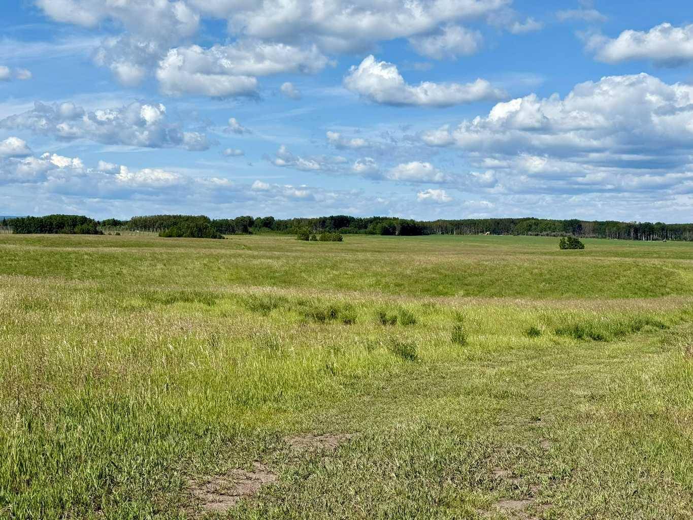 Rural Mountain View County, AB T0M 0S0,RR40 south of Twp Rd 293