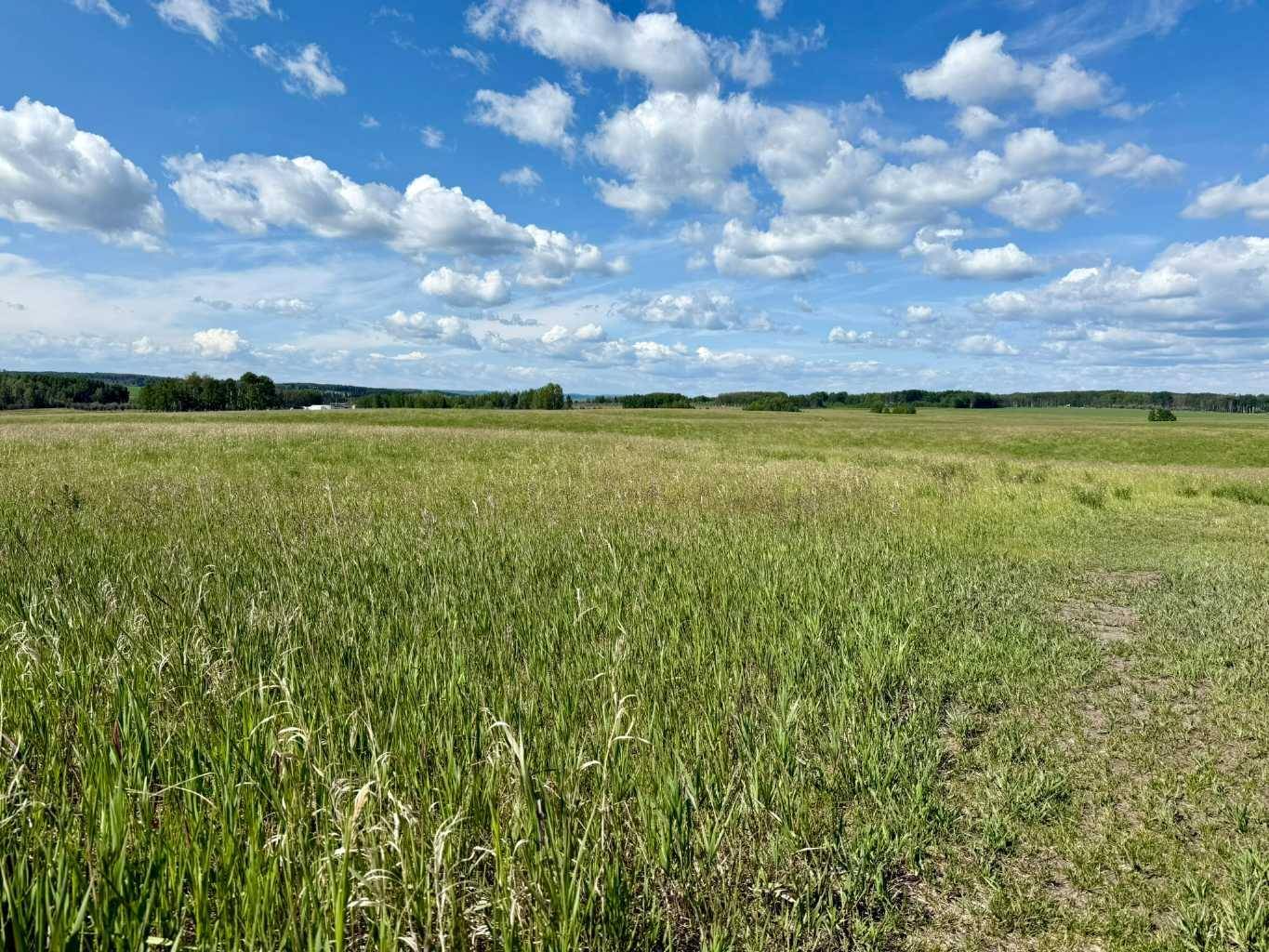 Rural Mountain View County, AB T0M 0S0,RR40 south of Twp Rd 293